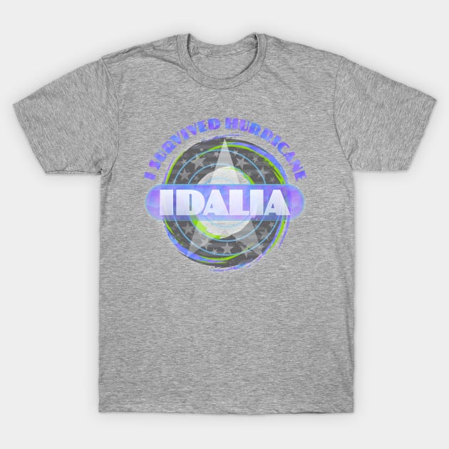 Hurricane Idalia T-Shirt by Dale Preston Design